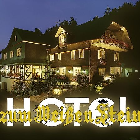 Hotel Zum Weissen Stein Kirchen  Екстер'єр фото