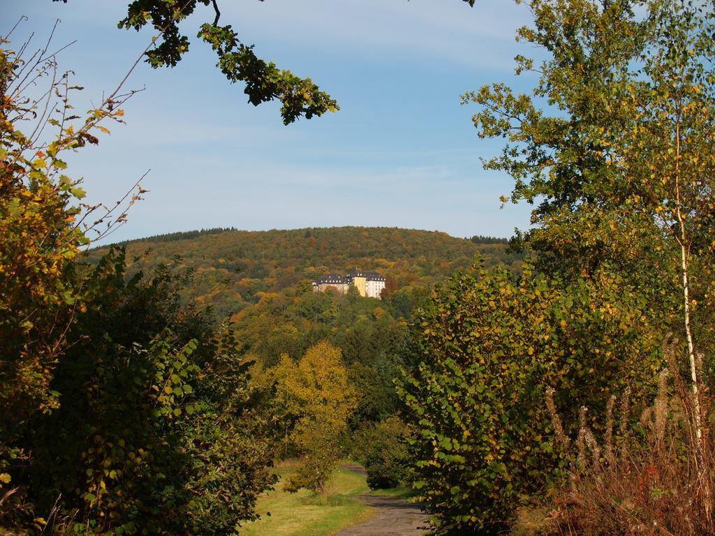 Hotel Zum Weissen Stein Kirchen  Екстер'єр фото