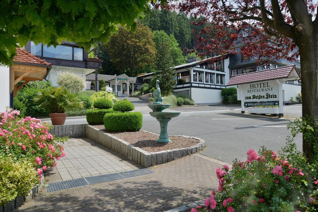 Hotel Zum Weissen Stein Kirchen  Екстер'єр фото